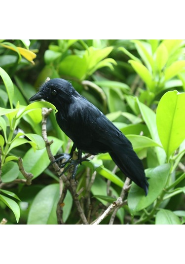 Homyl Sahte Yapay Karga Kuş Tüylü Gerçekçi Bahçe Ev Dekor Süsleme