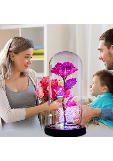 Jeemson Küçük Gecelik Aydınlatıcı: Büyüleyici Gül Cam Kubbe, Romantik Oda Dekorasyonu, Sonsuz Sevgi Simgesi Kırmızı