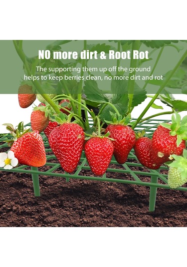 Hangfox 3 Adet Yeşil Plastik Çilek Tutucu, Bitki Büyüme Desteği, Meyve Çürümünü Önleyen Bahçe/çiftlik Ekipmanı