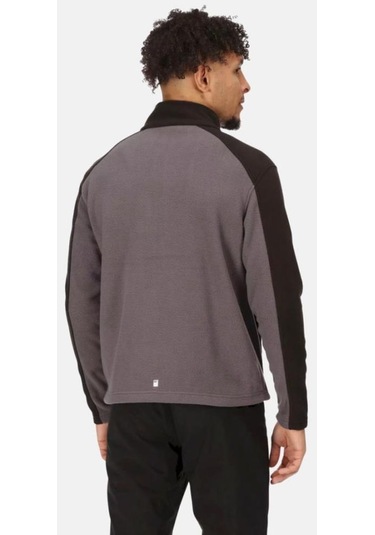 Regatta Hedman Iı Erkek Polar Gri Rma192 001