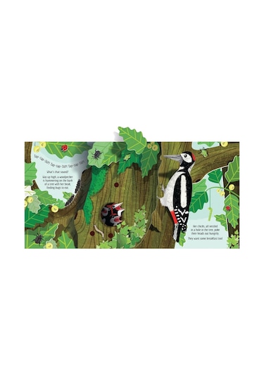 Pop-Up Nature - Anna Milbourne - Usborne