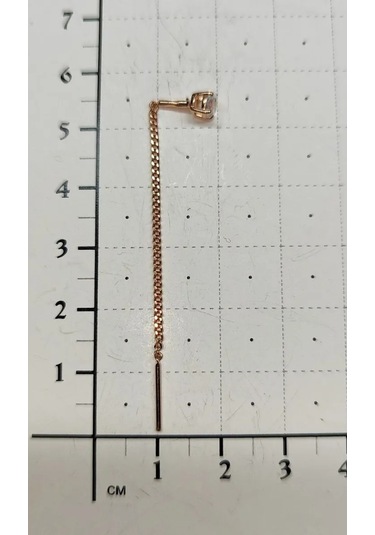 Sılver Whale Gümüş Küpeler 310154392 Altın