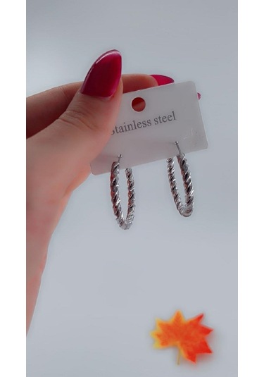 Kadın Burgu Tasarım Çelik Küpe Gümüş Renk