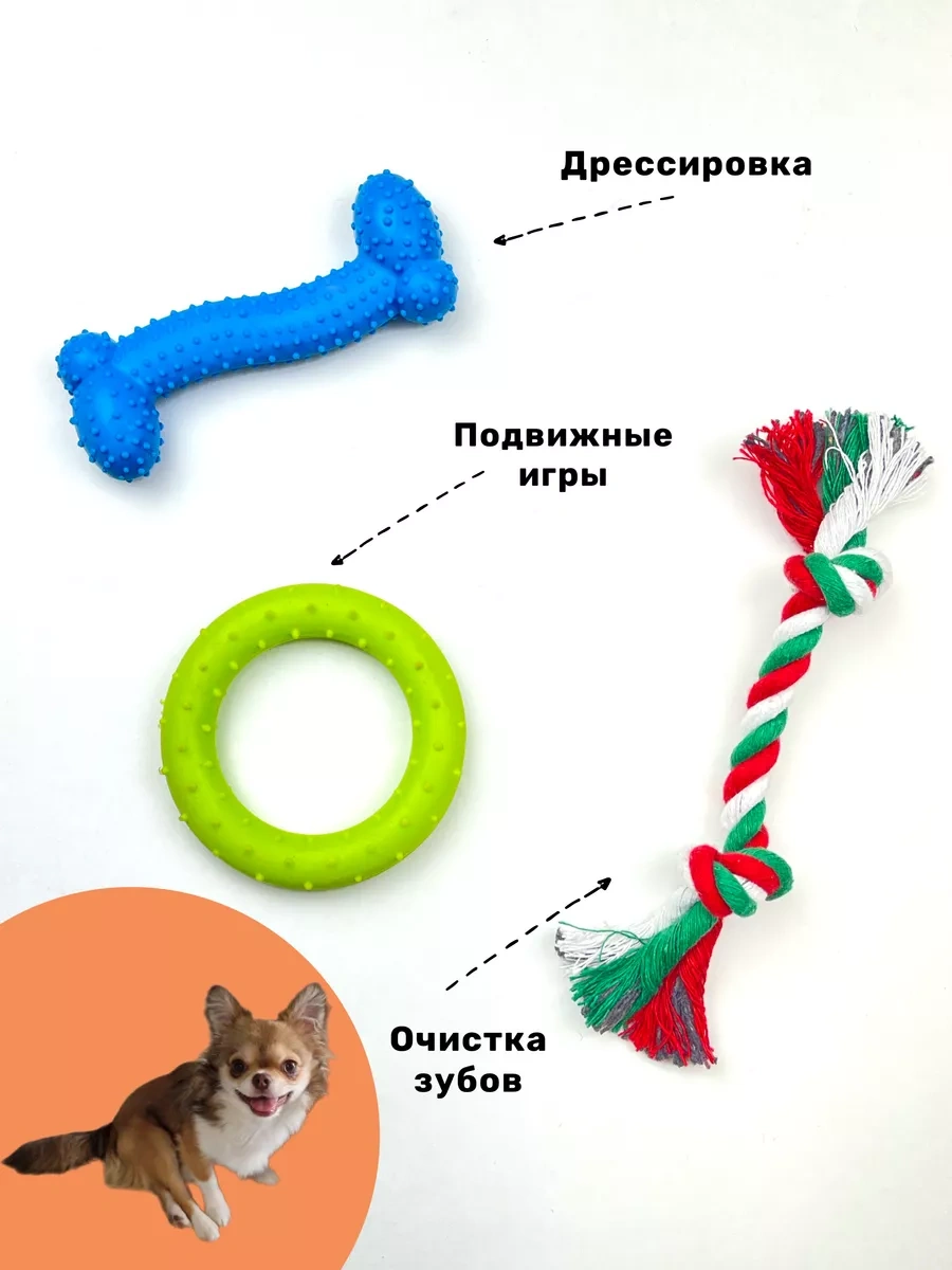 Freedsy Küçük Irk Köpekler Ve Yavru Köpekler İçin Oyuncaklar 183955454