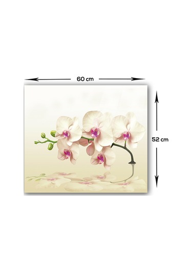 Decorita Krem Orkide | Cam Ocak Arkası Koruyucu | 52cm x 60cm