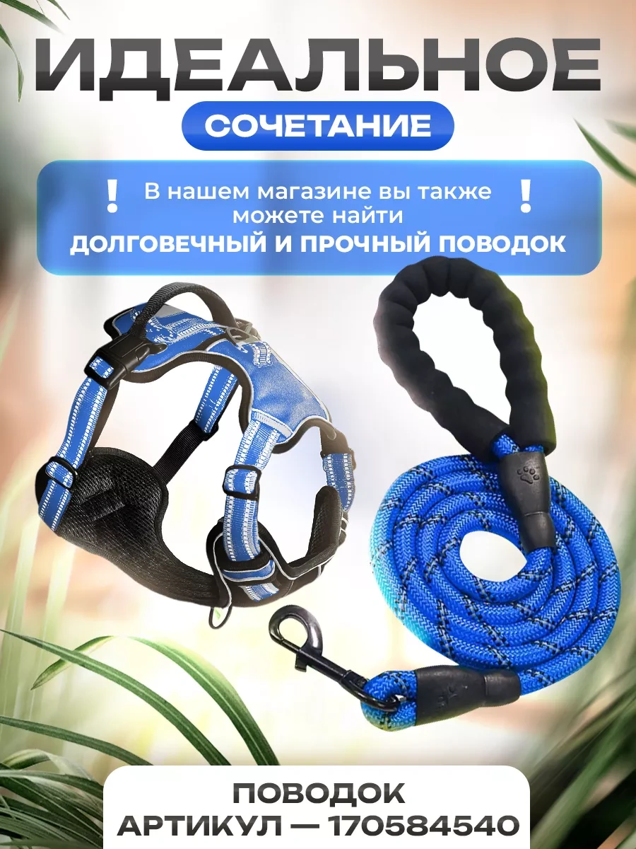 Petfort Orta Ve Büyük Irk Köpekler İçin Anatomik Koşu Kayışı 175517317 Mavi