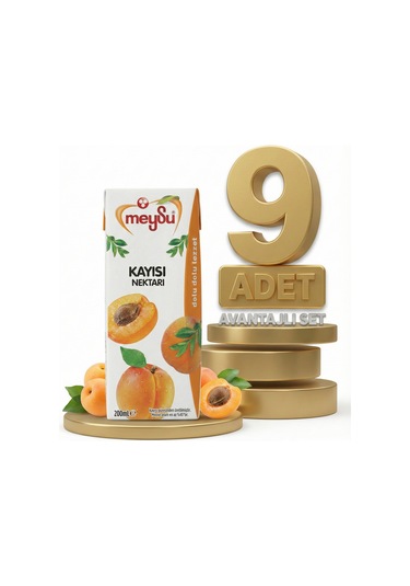 Meysu Nektar Kayısı 9x200 Ml
