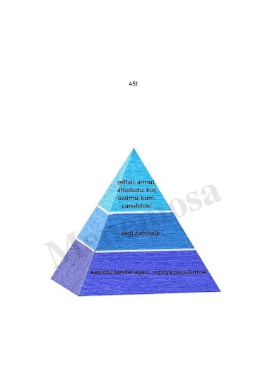 Bargello No:451 + 440 Unisex / Kadın Parfüm EDP 50 ML Fresh / Floral - Mnm Baharat