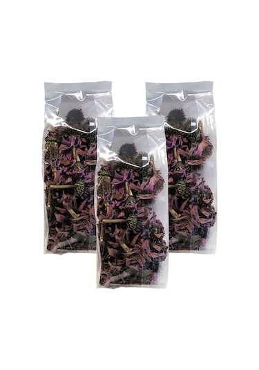 Zencefil Organik 3 Paket Kurusu Kirpi Otu Ekinezya Çayı