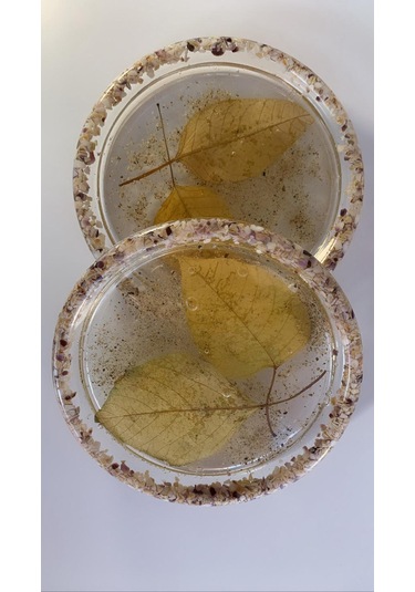 Deniz Kumlu Ve Kabuklu Kurutulmuş Yapraklı Epoksi Bardak Altlığı Şeffaf