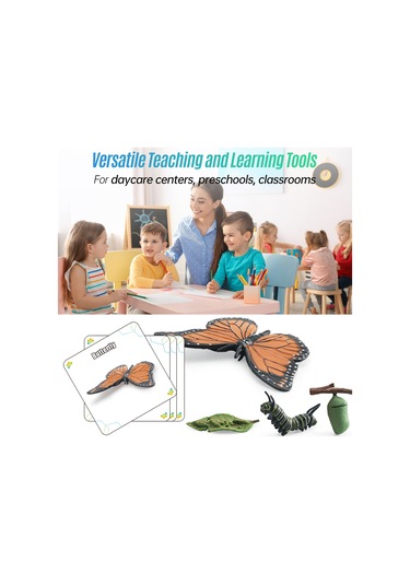 Yifomall 25 Adet Hayvan Büyüme Döngüsü Modeli + 25 Kart - Çocuklar İçin Doğa Bilgisi Eğitici Öğretim Aracı Kelebek, Kurbağa, Arı, Böcek, Deniz Kaplumbağası, Yavru Penguen