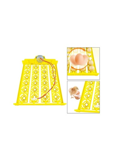 Pazly Yumurta Yumurta Tepsisi Tavuk Suntek Otomatik Çevirme 24 Cx