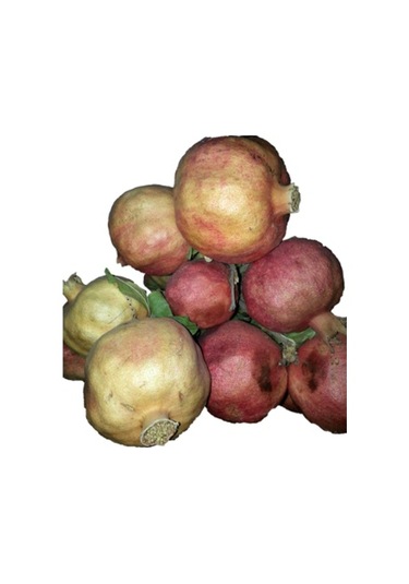 Meşhur Siirt Zivzik Narı 5 KG