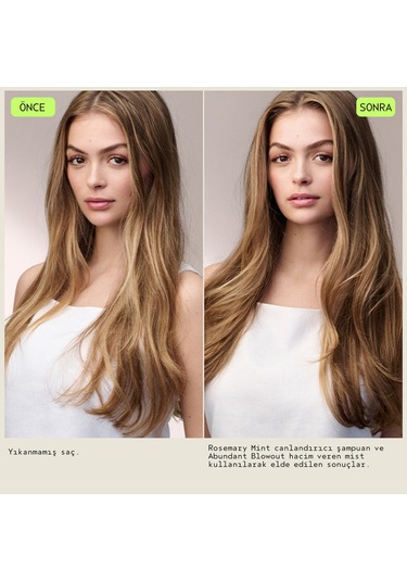Aveda Abundant Blowout Hacim Veren Saç Misti 150ml