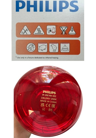 1 Adet Philips 250w Kızılötesi İnfrared Isıtıcılı Hayvan Isıtma Ve Fizik Tedavi Lambası Kırmızı Işık E27 Kalın Duy