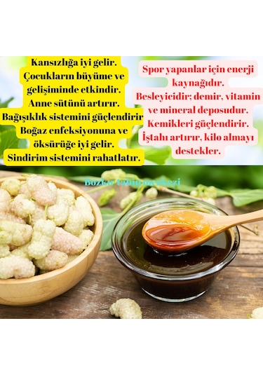 Bozkır Tahin Merkezi Dogal & Katkısız Köy Dut Pekmezi 1 KG
