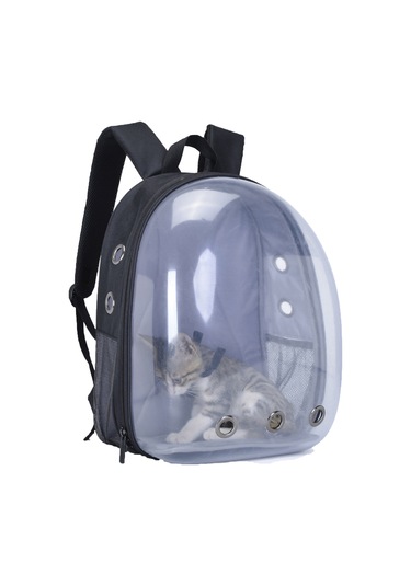 Springsun Yetişkinler, Gençler, Kampüs Sırt Çantaları, Yürüyüş, Tuval Okul Çantası İçin Aydınlık Sırt Çantaları Benzersiz Tasarım