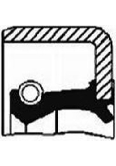 Skt 45600 Prızdırek Kecesı On Magırus