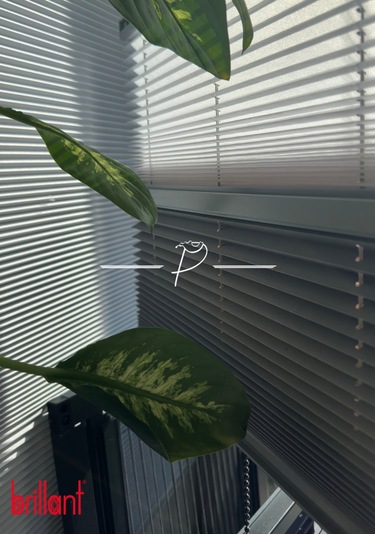 Plise Perde Brillant Marka 14 Renk Seçeeği 1. Kalite Beyaz