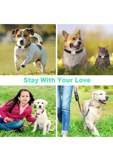 Lichen Şeffaf Aydınlık Yeşil-hava Etiketi Su Geçirmez Ve Kayıp Beyaz