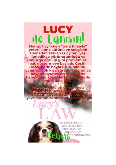 Petjoo 11.Lucy Yeşil-Kırmızı Qr'lı Köpek Künyesi