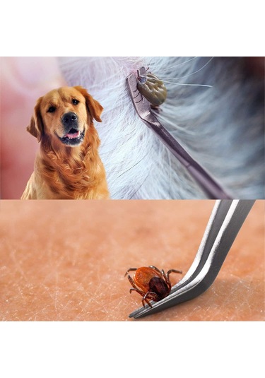 Hangfox Evcil Hayvan İçin Çelik+plastik Kenevir Çıkarıcı Seti - 3 Farklı Boyutlu Çekiç + 2 Uçlu Pinçer İle Kenevir Ve Bitler Tamamen Temizlenir