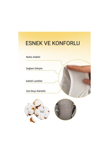 Alya Underwear Kadın Pamuklu Hipster - Slip Külot 5 Farklı Renk 1 Pakette Çok Renkli P51