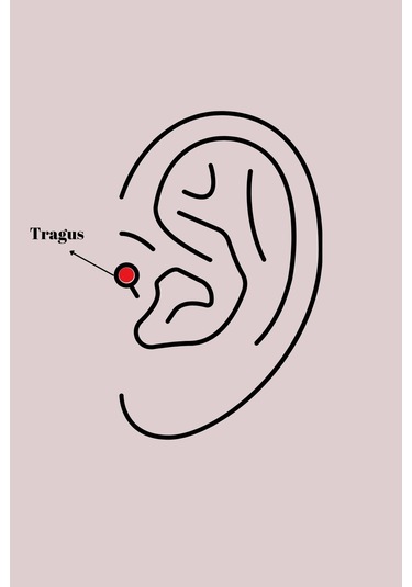 Ceylan Adam 316l Çelik Gümüş Renk Zirkon Taşlı Kurdele Tragus Piercing Çok Renkli