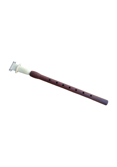 ERİK ANA MEY BÜYÜK BOY 31.5 CM - FA + NORMAL KAMIŞ HEDİYE