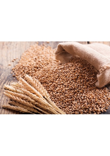 Buğday Yem 25 Kg Doğal Buğday Yemi Tavuk Yemi Kuş Yemi