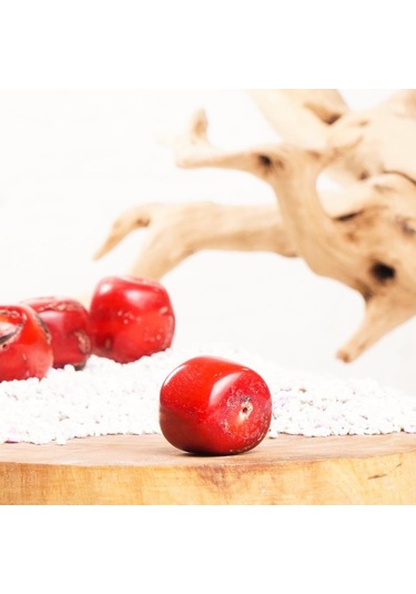 Mercan Kararlılık Taşı Doğal Taş