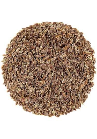 Yerli Dereotu Tohumu, Gönen Çeşidi, 1 Gram, 600 Adet