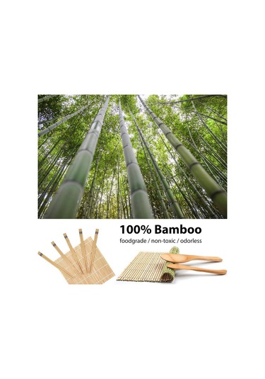 Sushi Yapım Seti, Başlangıç Seviyesi Sushi Matı Diğer