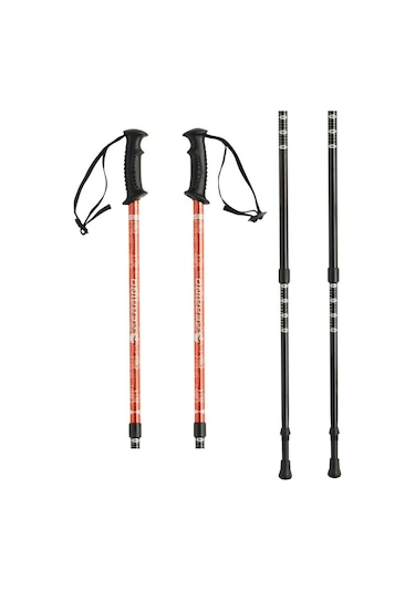 Ferrino Gta Yürüyüş Batonu Çok Renkli