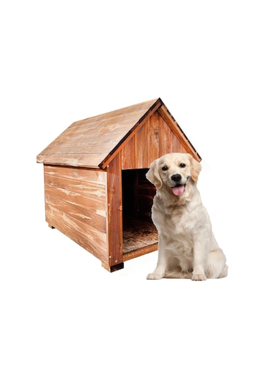 Ahşap Köpek Kulübesi Köpek Evi Orta Boy