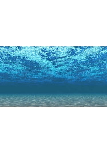 Kanki Pet KP554008 Akvaryum Arka Fon Yapıştırma 55 CM