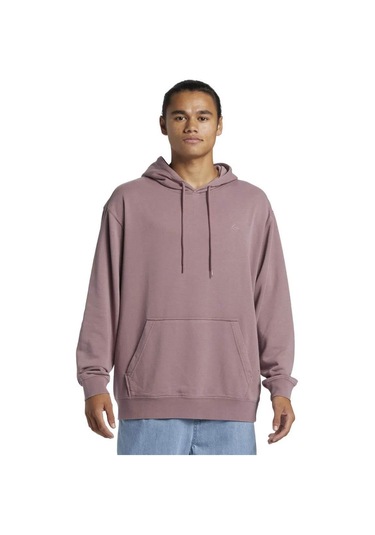 Quiksilver Salt Water Hoodie Erkek Sweatshirt Mor