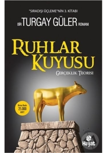 Ruhlar Kuyusu - Gerçeklik Teorisi - Turgay Güler - Hayat Yayıncılık