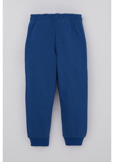 Breeze Erkek Çocuk Alt Köpek Nakışlı Bağcık Aksesuarl 1-4 Yaş, Saks Mavisi Saks Mavisi