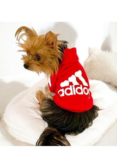 Kemique Red Adidog Kapşonlu Sweatshirt Köpek Kazağı