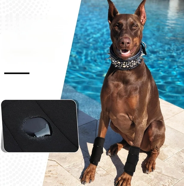 Gateesat Siyah 2li Orta Boy Köpek Dizlik Seti - Yaralanma Burkulma Koruma