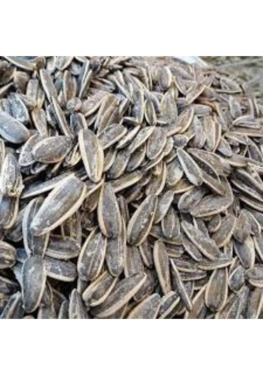 Siyah Tuzlu Çekirdek 500 G