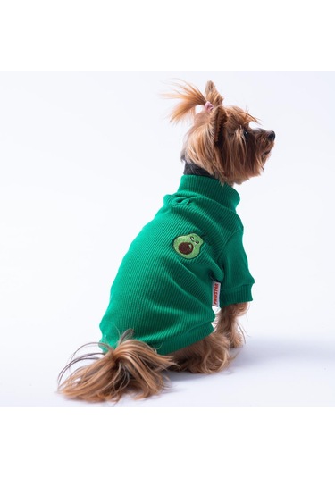 Yeşil Avocado Avokado Nakışlı Esnek Kedi Köpek Sweat- Kedi Köpek Kıyafeti