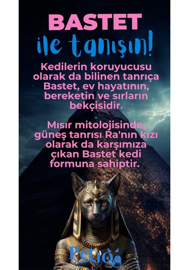 Petjoo 1.Bastet Mavi-Pembe Qr'lı Kedi Künyesi