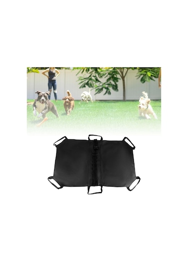 Homyl Evcil Hayvan Taşıma Sedyesi Taşınabilir Acil Kurtarma