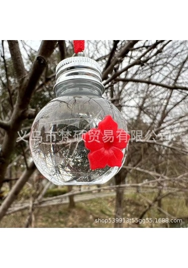 Pazly Evde Kullanım İçin Mükemmel Spot Hummingbird Kuş Besleyici Şişe, Kavanoz, Açık Sinek Kuşu Besleyici Kutulu