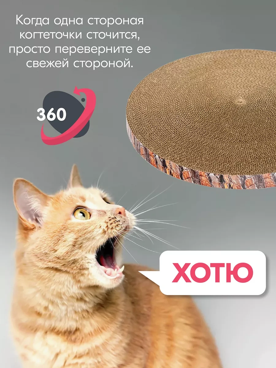 Pettails Karton Oluklu Mukavva İle Emprenye Edilmiş Kedi Tırmalama Tahtası 160445076