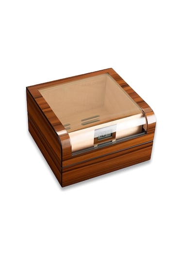 Cigarloong Camlı Puro Kutusu Humidor Ceviz 60's