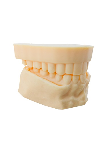 Barışhan Medikal Silikon Çene Diş Dikiş Modeli Ortodontik Alt Üst Çene Periodontal Sütür Eğitim Modeli-6