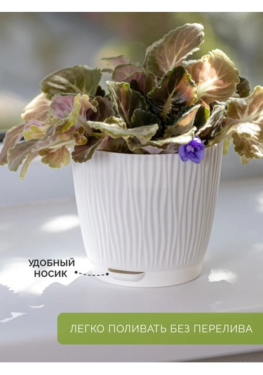 Al' Ternatıva İç Mekan Çiçek Saksıları 414483247